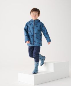 Myorion.shop29636efd88 3