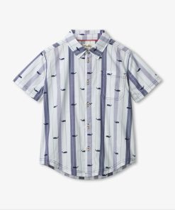 Myorion.shop9a3ed1d625 1